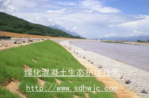 綠色混凝土護(hù)坡技術(shù) 綠色混凝土護(hù)坡技術(shù)